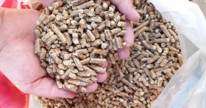 ff6558e241c18c7fd307c571f858