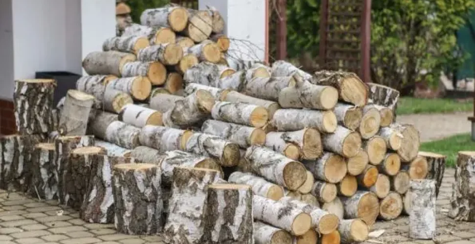 pexels-stitch-20033314-595x397